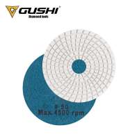 High Quality Wet Polishing Pads Diamond Pad for Marble